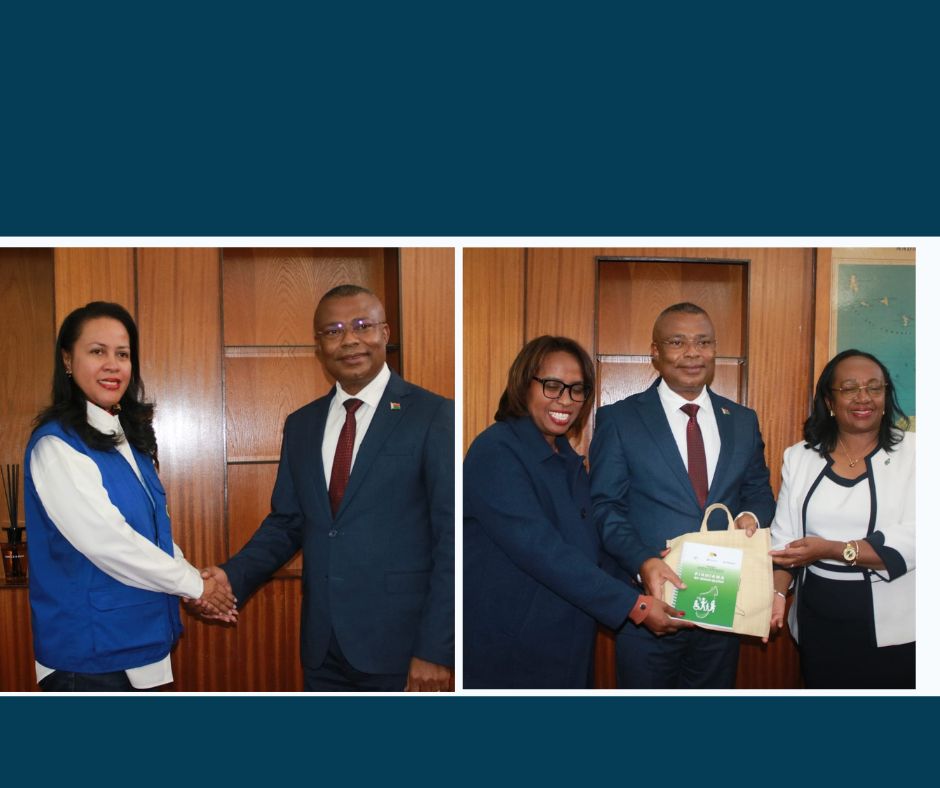 Visite de courtoisie au Palais de Tsimbazaza : échanges entre le Président de l'Assemblée nationale et plusieurs hautes personnalités