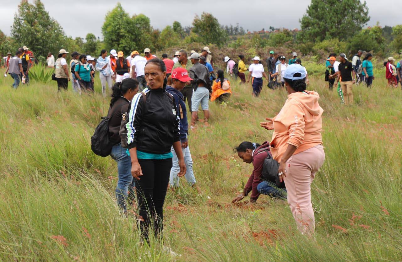 L’Assemblée nationale renforce son engagement pour la reforestation