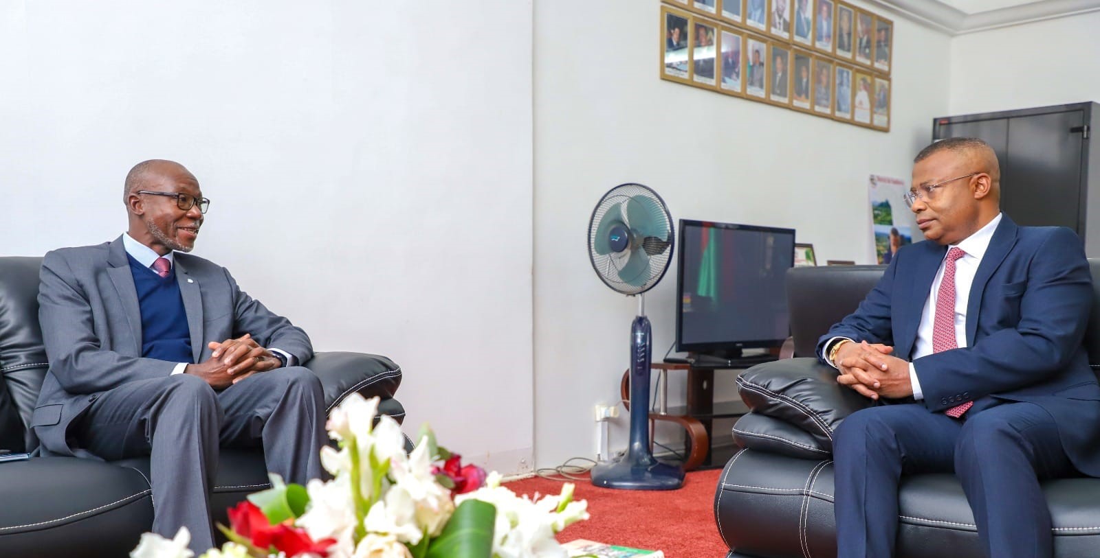 Visite de courtoisie et d’adieu de M. Issa Sanogo à l'Assemblée nationale